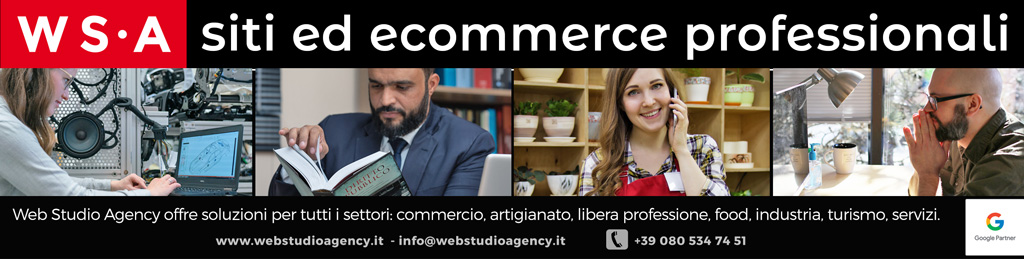 WEB STUDIO AGENCY Agenzia web realizziamo e-commerce e siti web