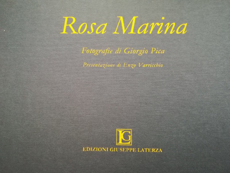 Rosa Marina: quando un magistrato e un avvocato fanno vincere l'arte