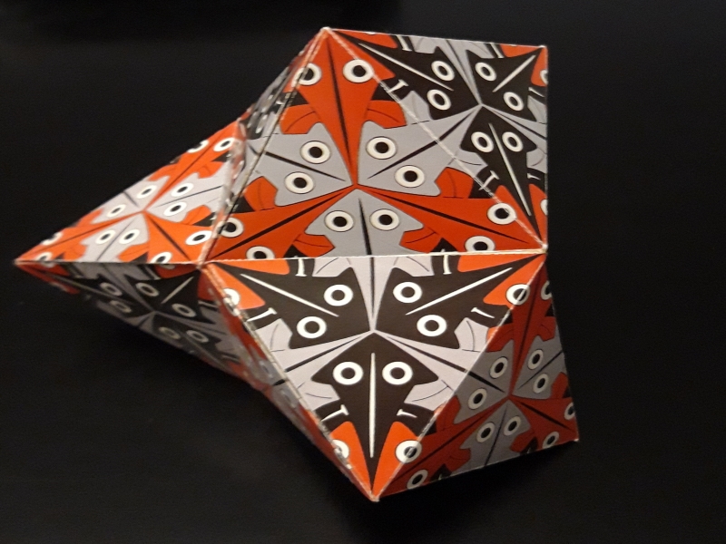 COME CALEIDOCICLI DI ESCHER