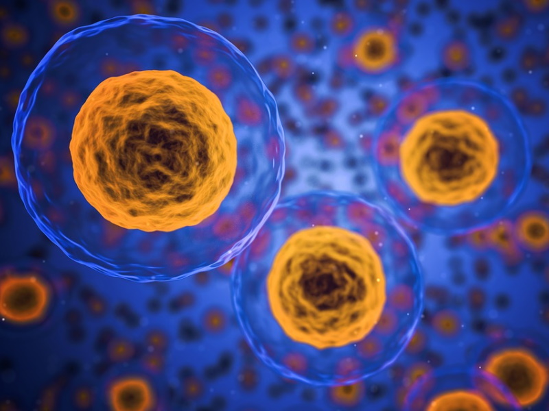 L'altra metà della scienza