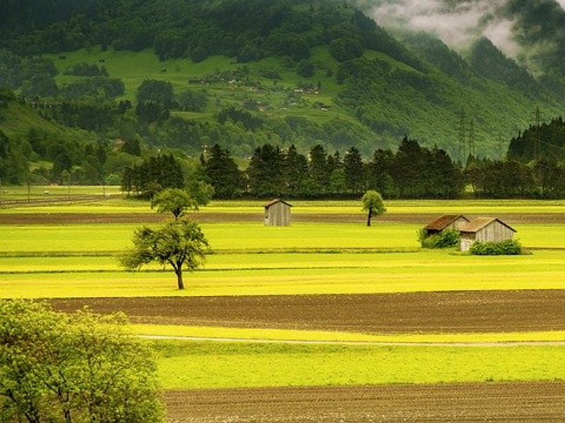 giurisdizione universale