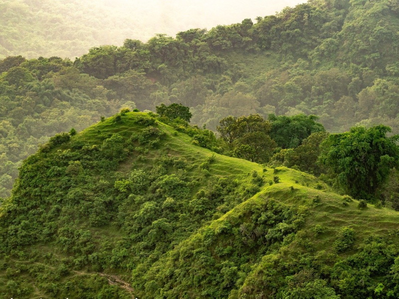 Servirà la riforma del C.S.M.?