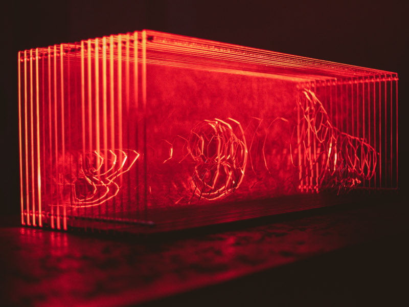 L'Avvocato che verrà