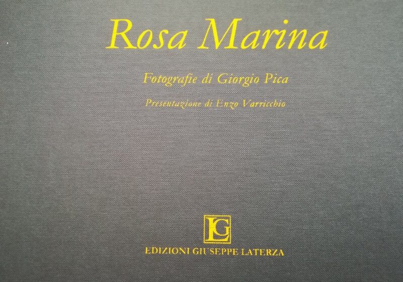 Rosa Marina: quando un magistrato e un avvocato fanno vincere l'arte