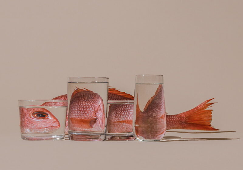 Dagli all’untore, dagli all’Avvocato