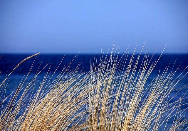 Canapa, in fumo i pregiudizi